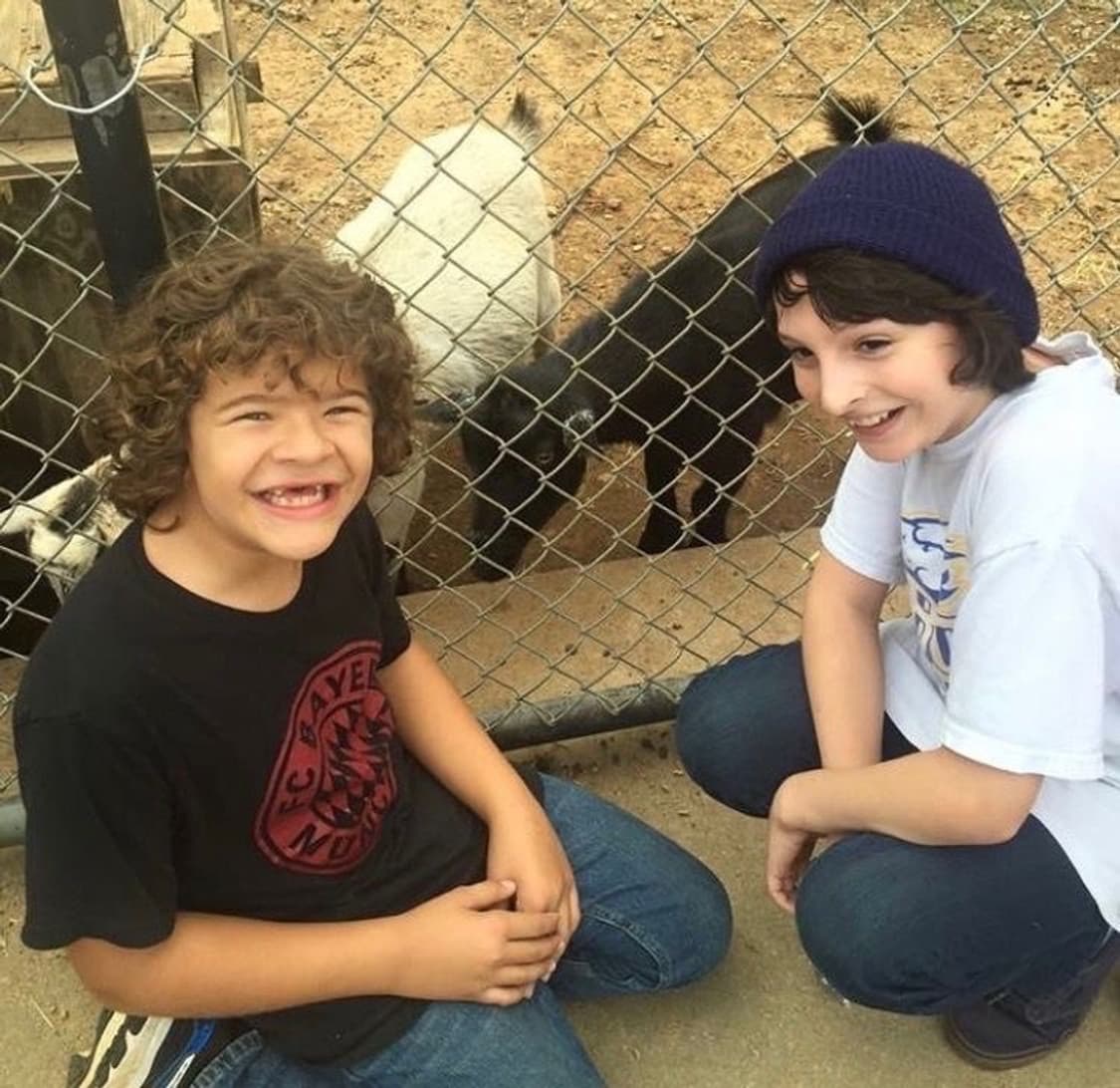 결제창 상품이미지1