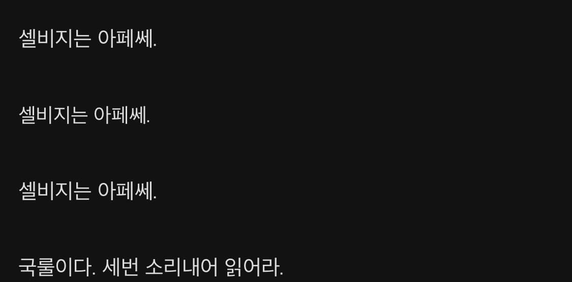 아페쎄 진스탠다드 셀비지 상품이미지3