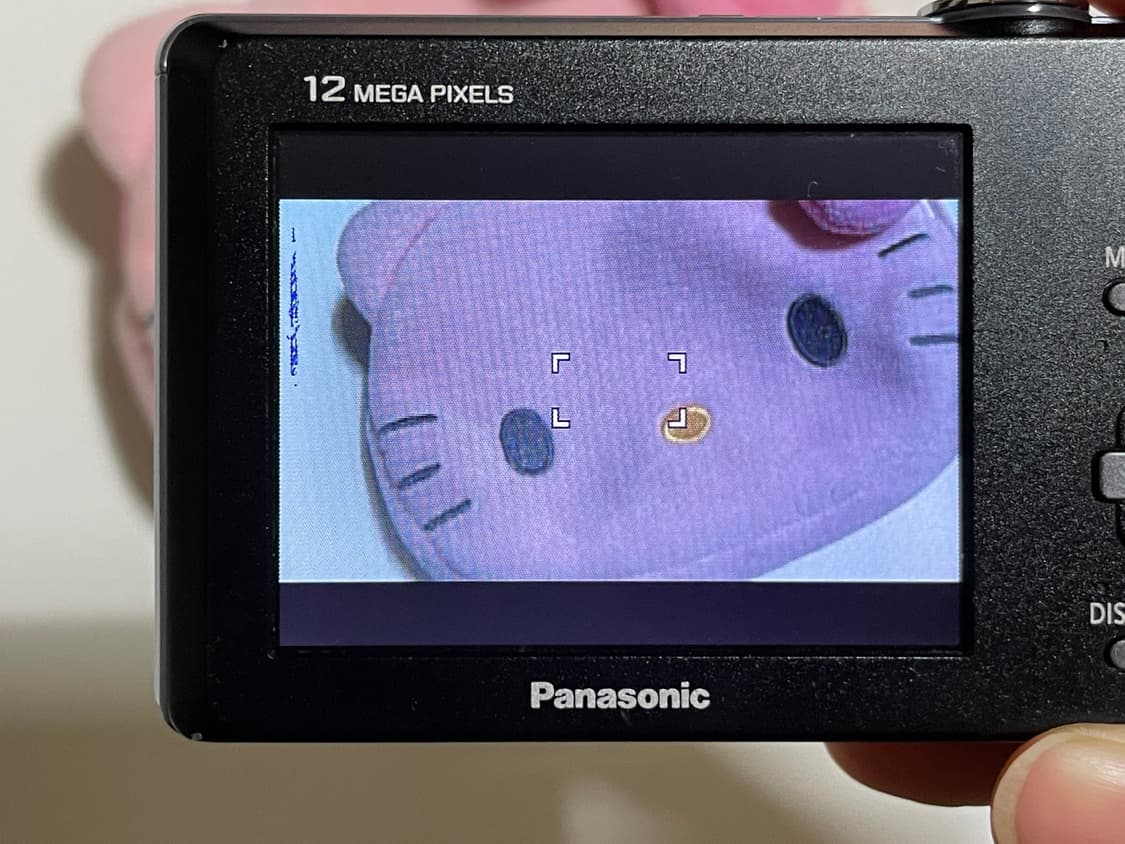 작례첨부) 파나소닉 루믹스 라이카 Panasonic DMC FP-1 상품이미지9