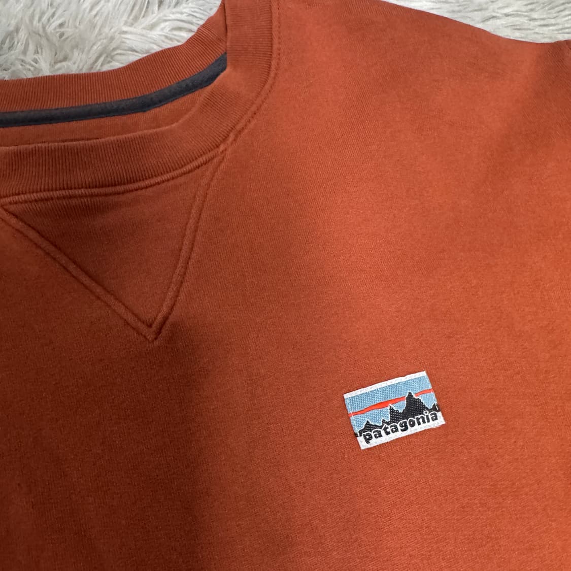파타고니아 맨투맨 L사이즈 상품이미지4