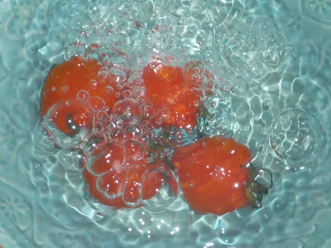 풀박/작례O) 파나소닉 루믹스 dmc-ft1 panasonic lumix 상품이미지9