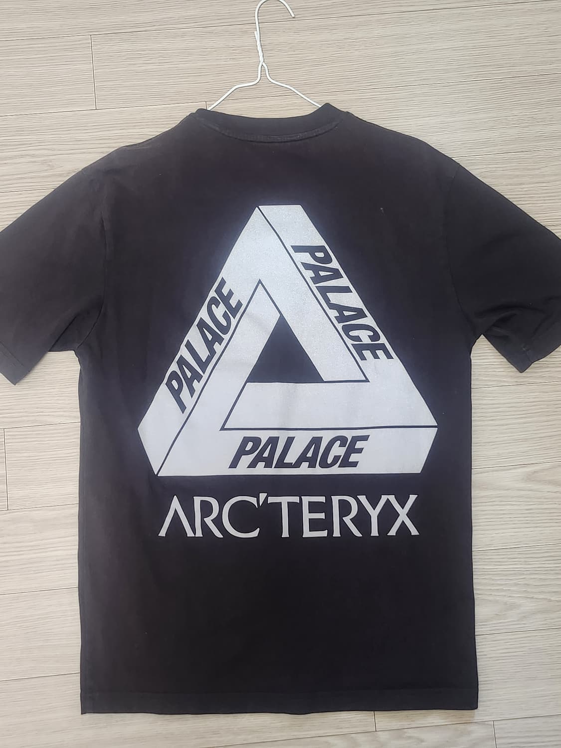 팔라스 아크테릭스  M 상품이미지1