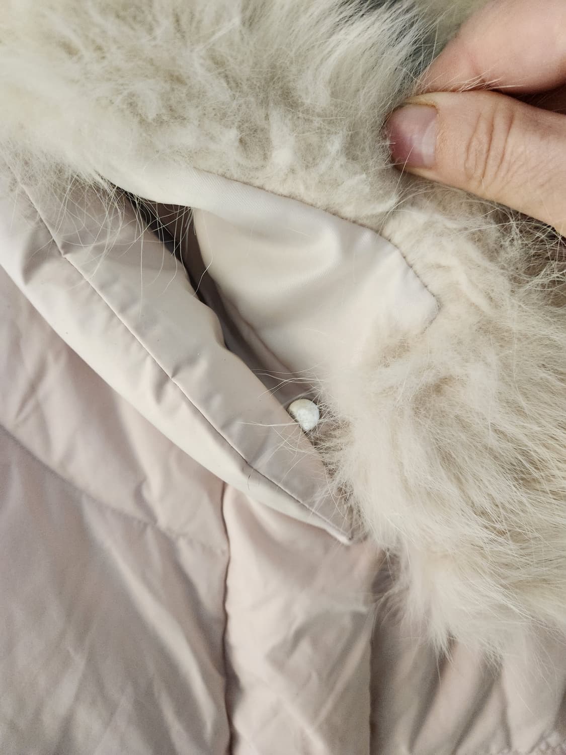 Mind Bridge아이보리 여우털퍼 카라 다운숏 패딩 점퍼 상품이미지5