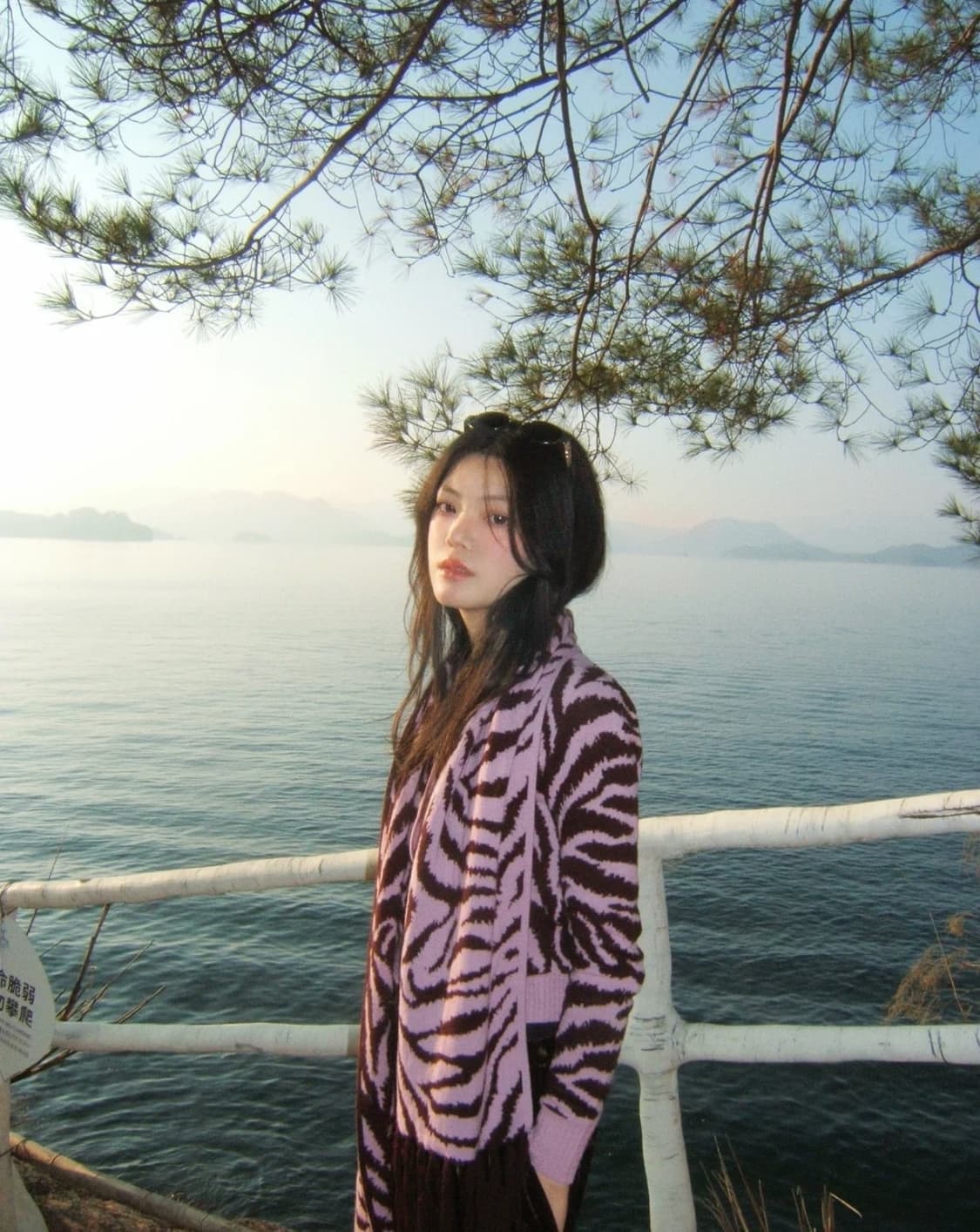 박스풀셋 입문자 강추! 조작이 너무 쉬운 후지 파인픽스 A303 상품이미지4