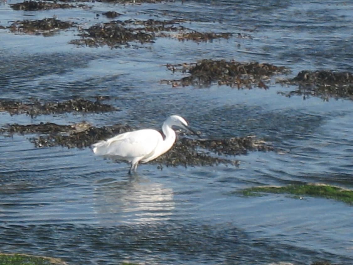 [아이유픽!] 캐논 IXY DIGITAL 55 디지털카메라 상품이미지9