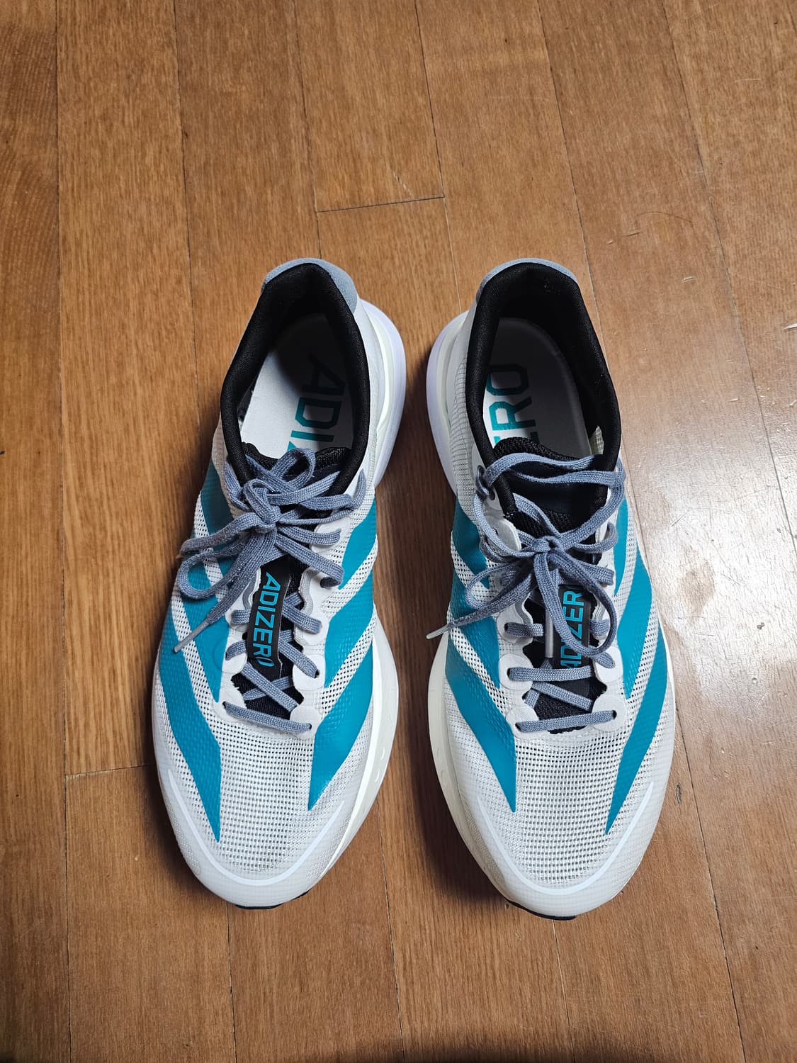 아디제로 보스턴13  260ㅇ 상품이미지1