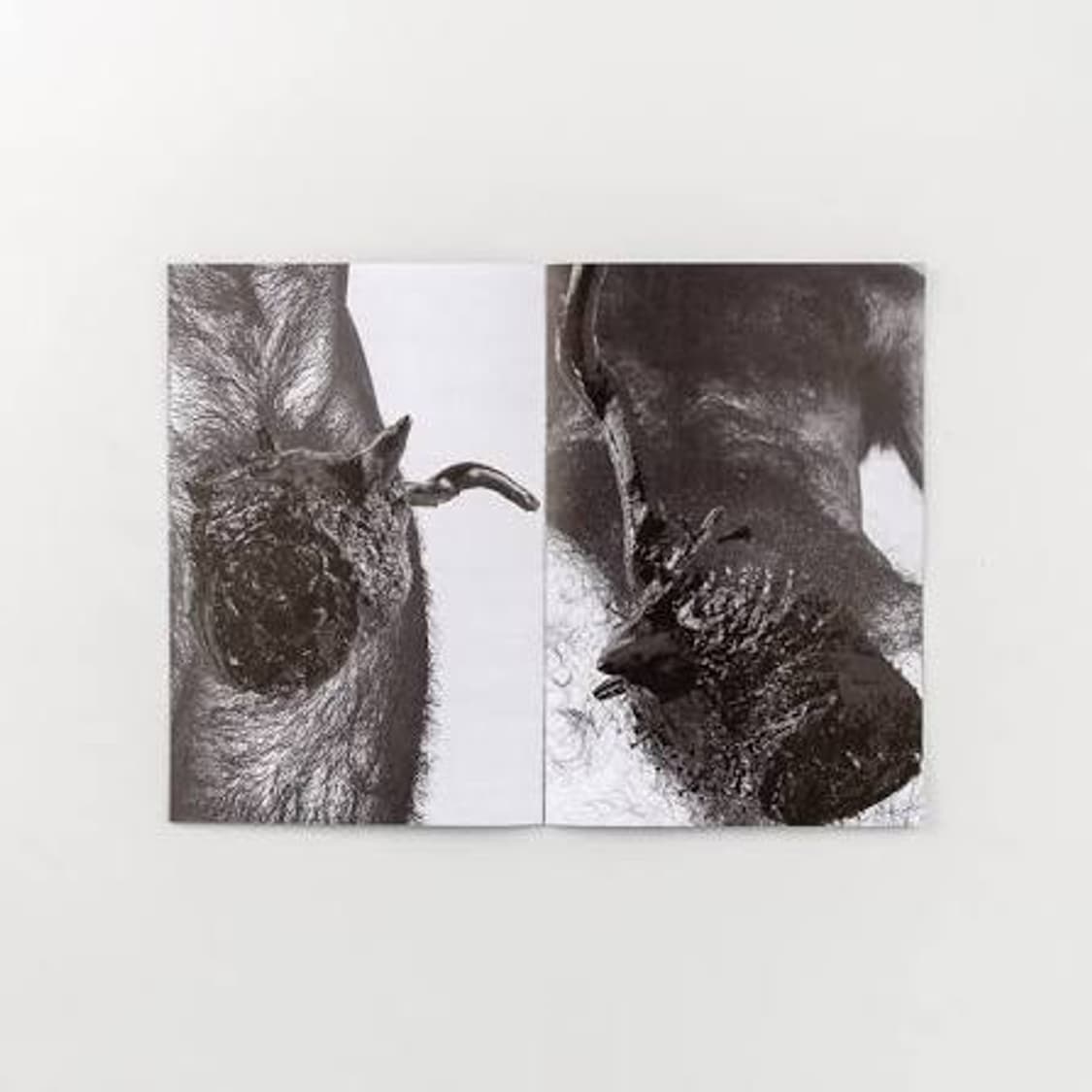 Helmut Lang 'Burry' Zine 상품이미지2