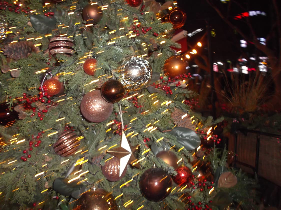 후지필름 파인픽스 JX550 실버 빈티지 디카 상품이미지4