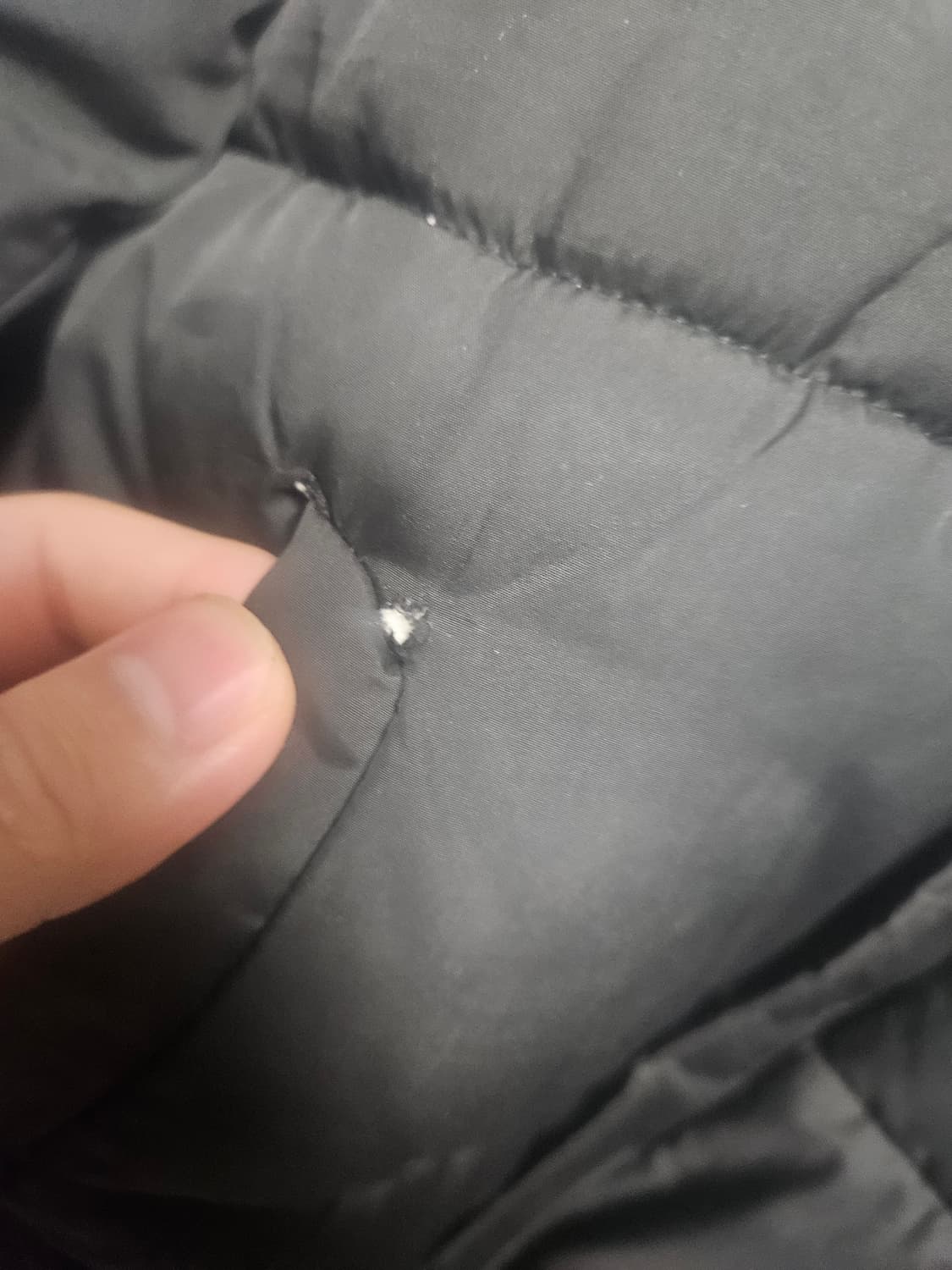 폴로 경량형 패딩 M 상품이미지2