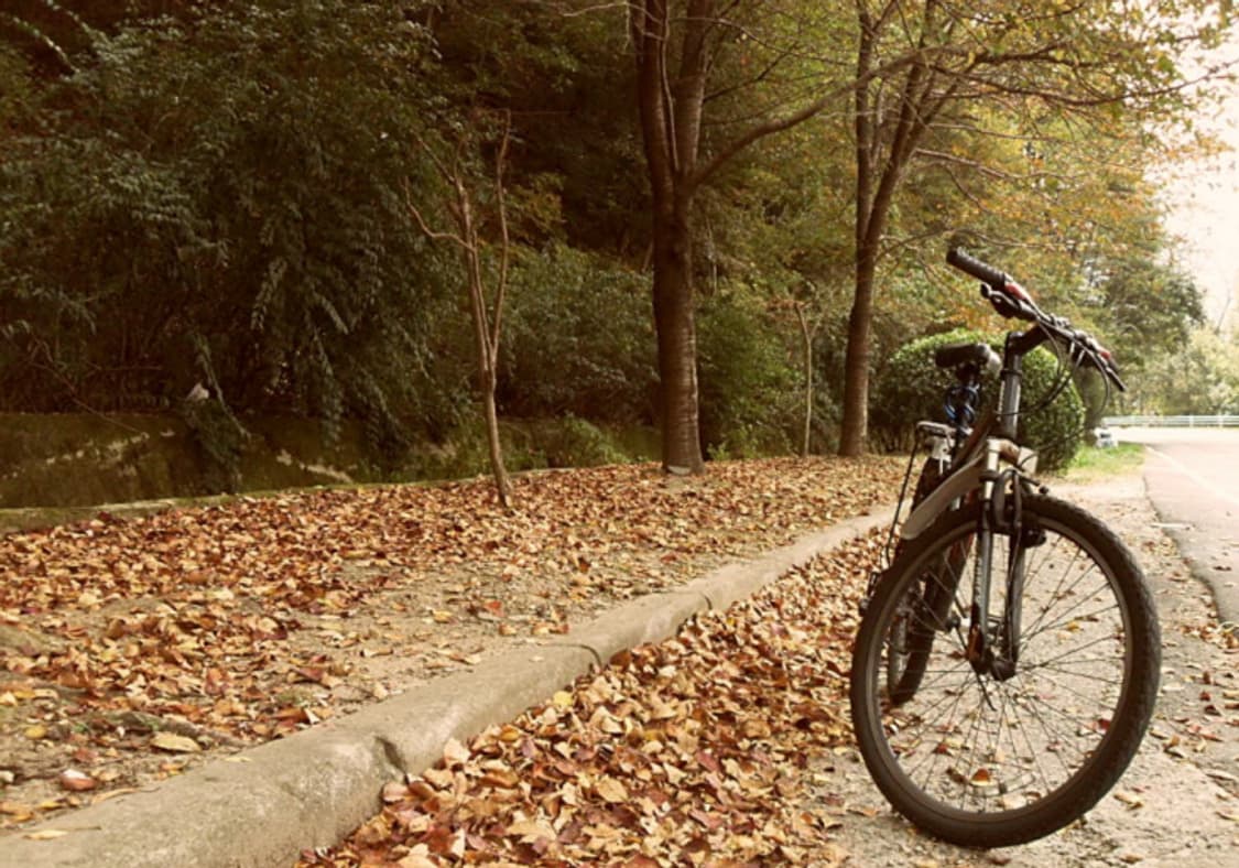 삼성 vluu pl51 한효주 디카 (빈티지 카메라) 상품이미지7