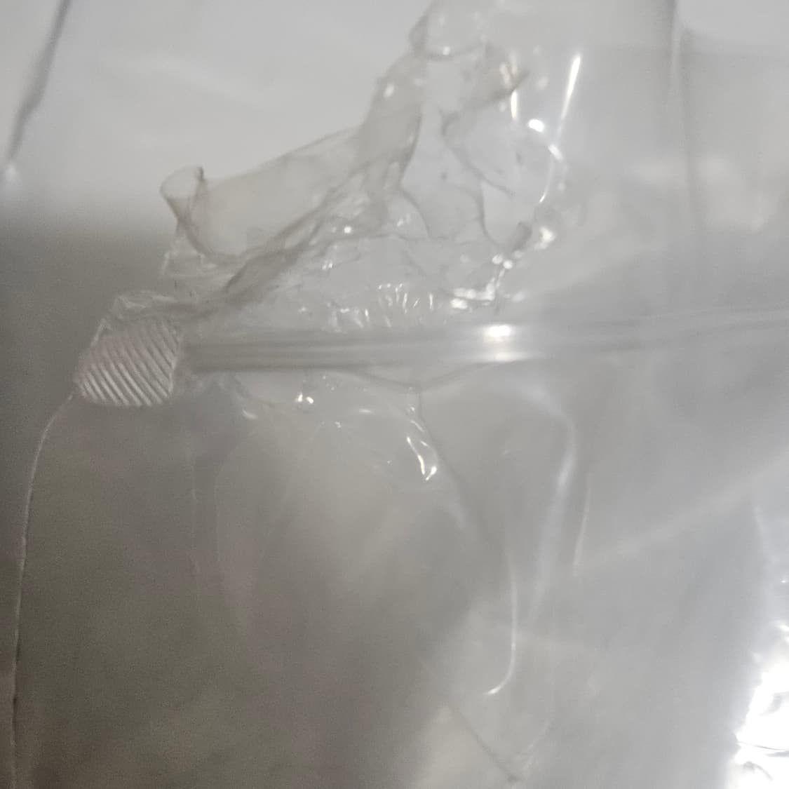 코이세이오 와이드 캣 비니 그레이 상품이미지2