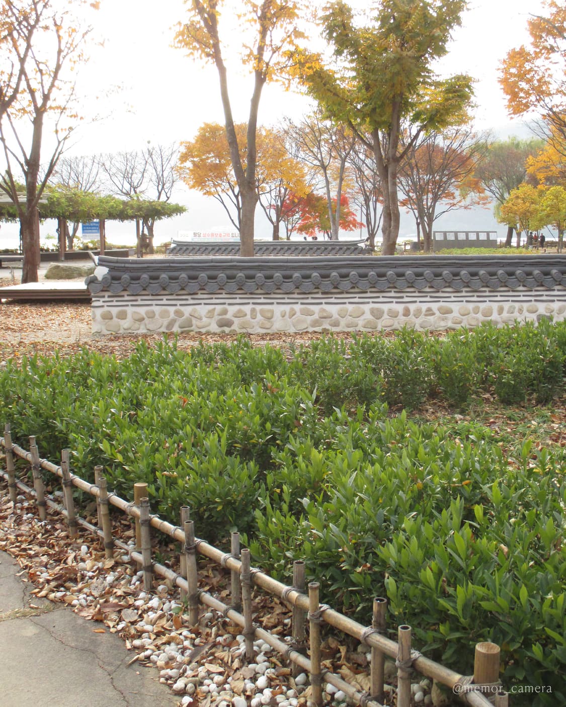 희귀매물,컬러/뉴트럴톤 작례🎀Canon IXY 130 캐논 디카 카메라 상품이미지7