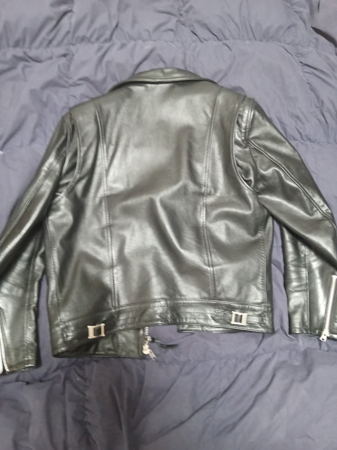 디아프바인 로져 L 상품이미지2