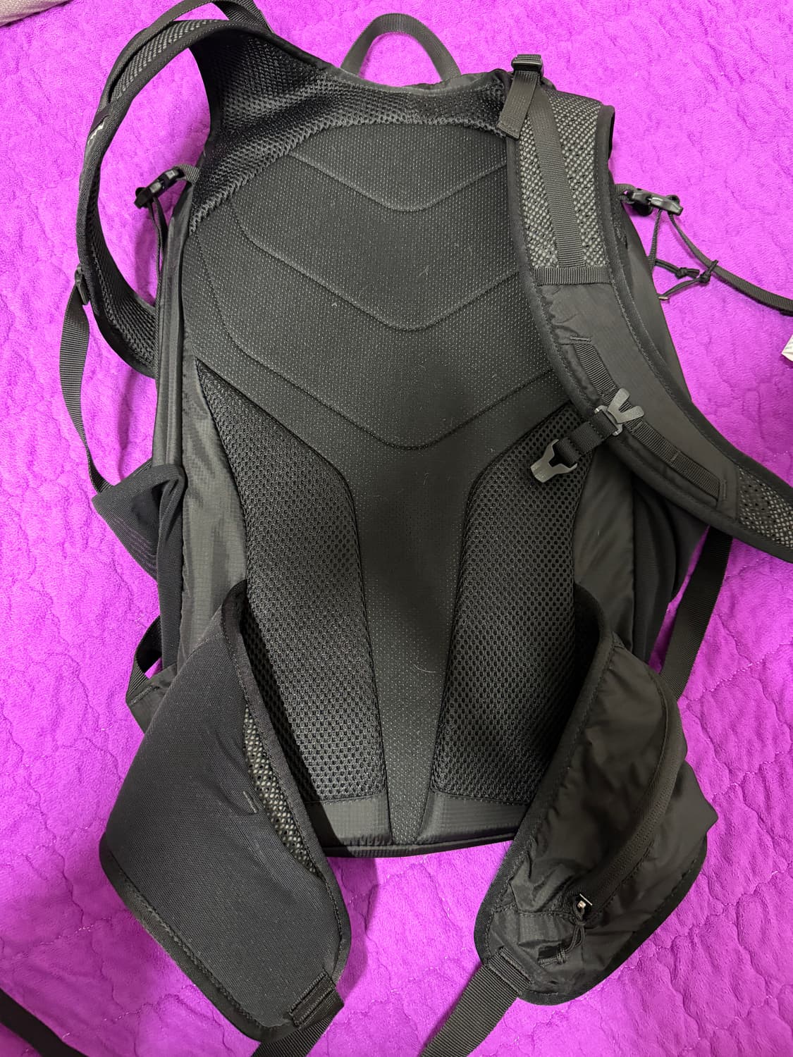 살로몬 트레일블레이져 30 백팩 신품컨디션 상품이미지2