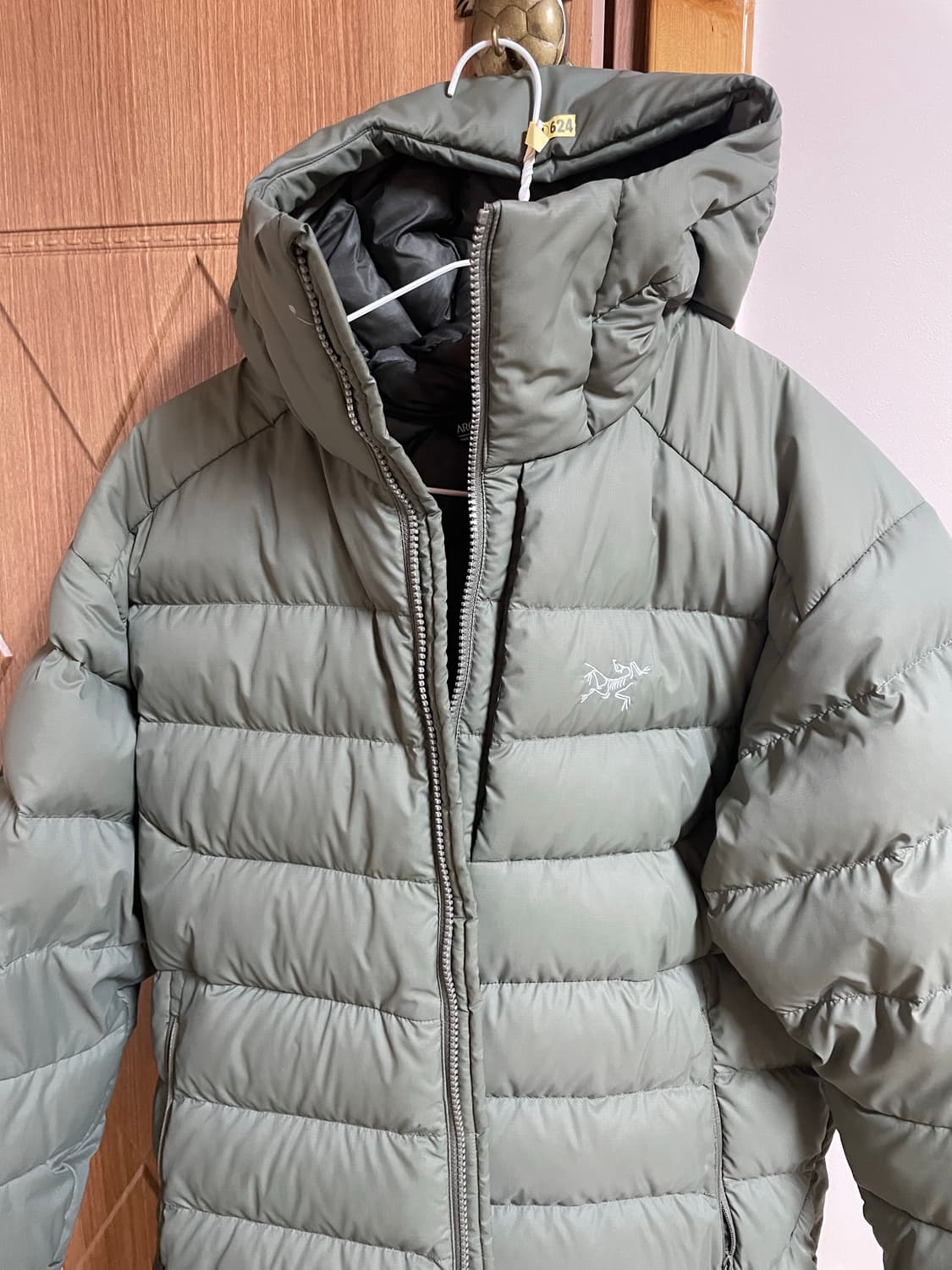 아크테릭스 토륨후디 포리지색상 상품이미지2