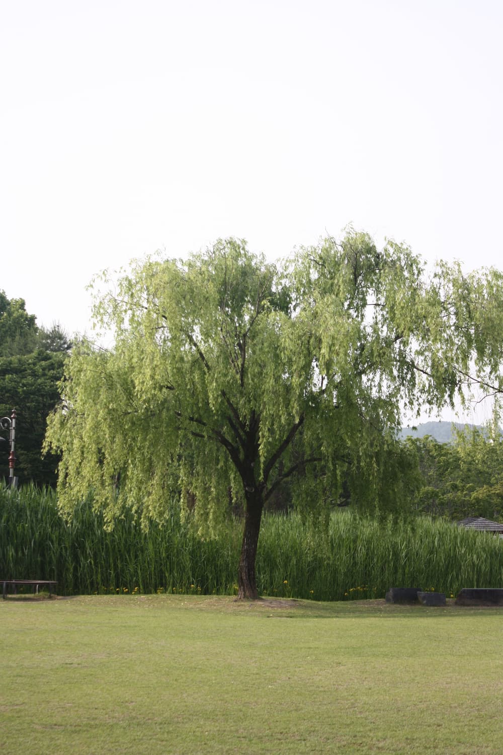 (작례0) Canon EOS 450d (DSLR) 상품이미지3