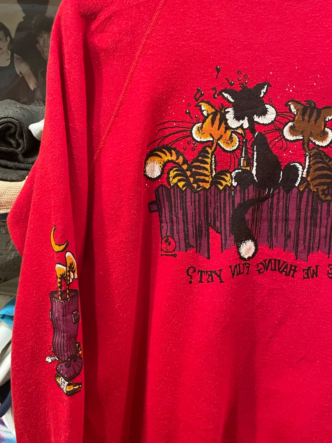 1980-90s Vintage Graphic Sweatshirt USA 상품이미지10