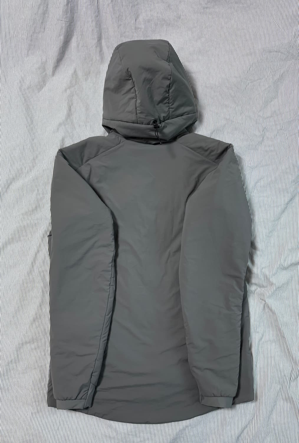 (S급) 아크테릭스 프로톤 LT 후디 마이크로칩  상품이미지4