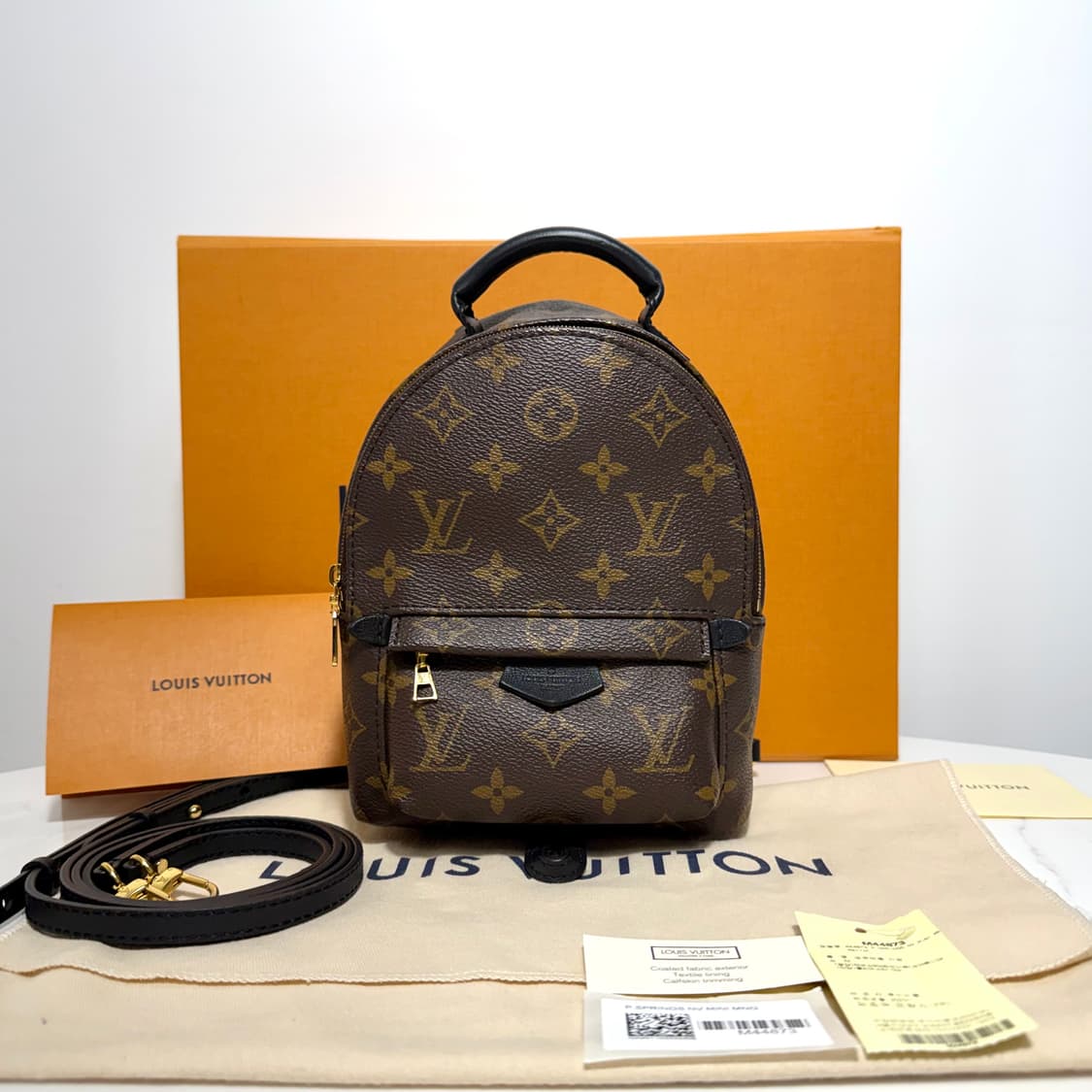 루이비통 팜스프링스 미니 상품이미지2