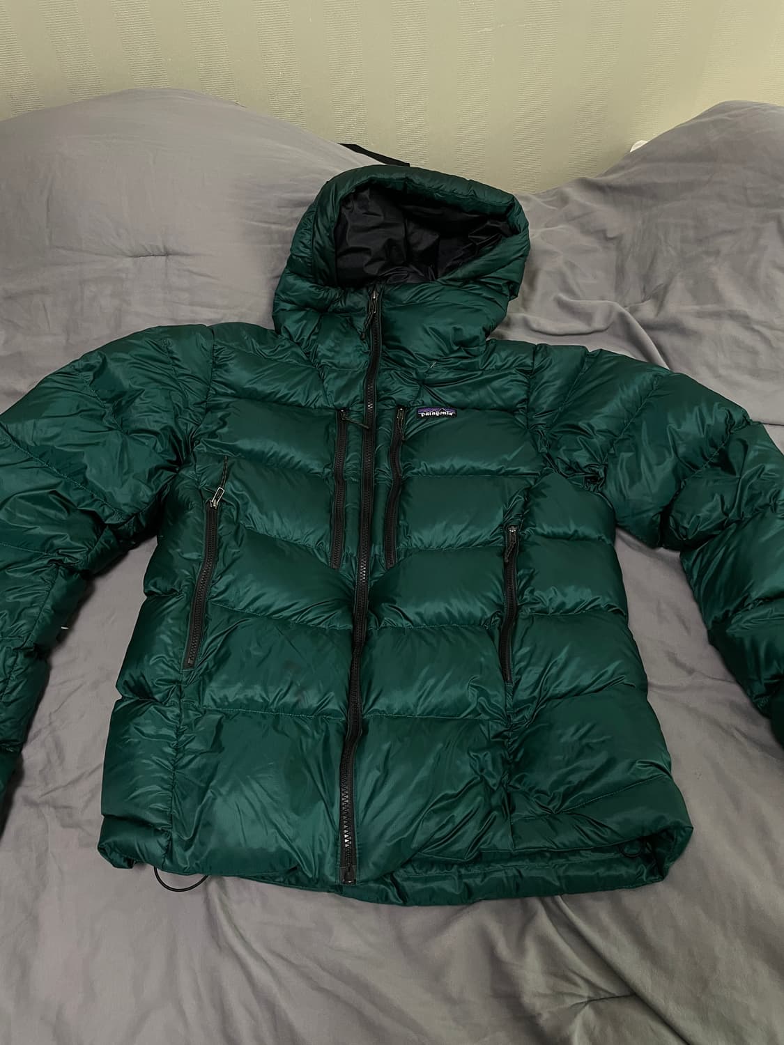 파타고니아 피츠로이 그린 상품이미지2