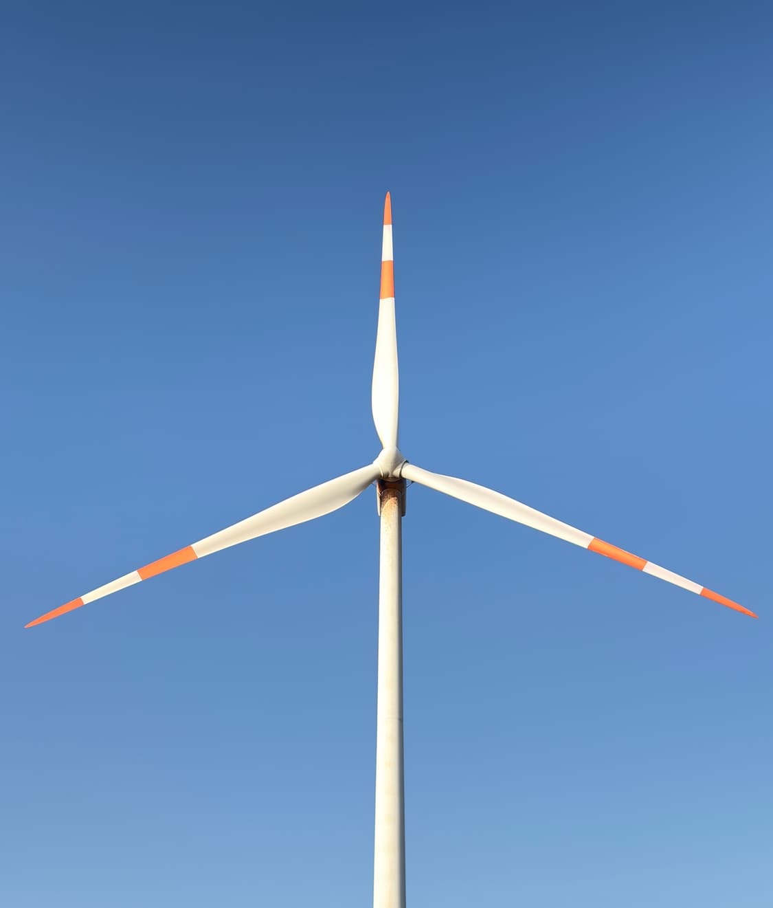 Dnlsehrl님 결제창 상품이미지1