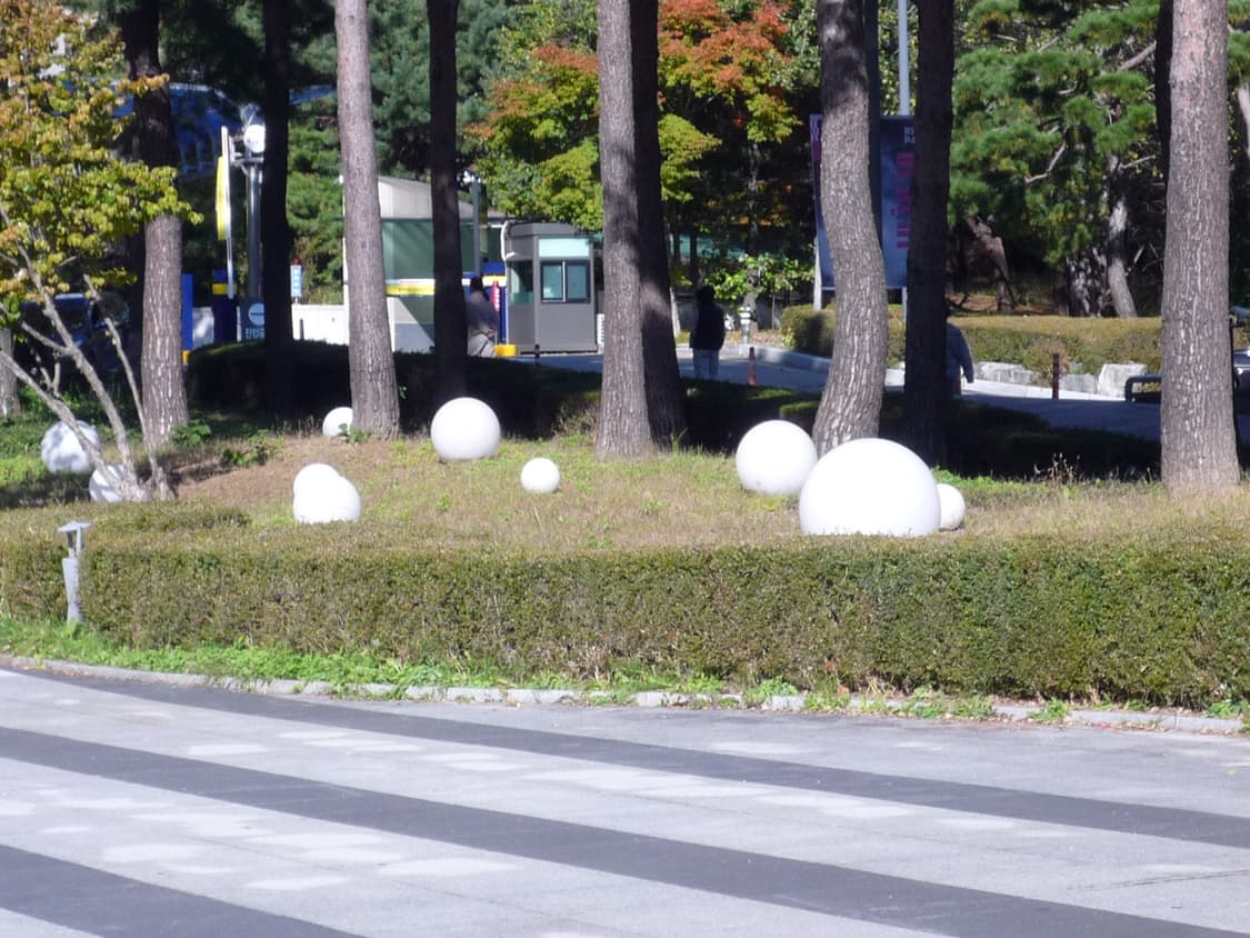 [레이카 렌즈, 작례ㅇ] 파나소닉 루믹스 fx35  상품이미지8