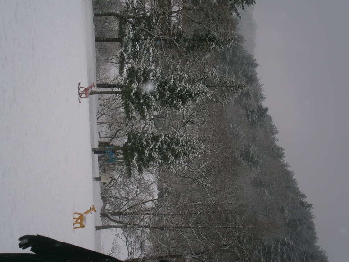 올림푸스 gv120 작례o 상품이미지8