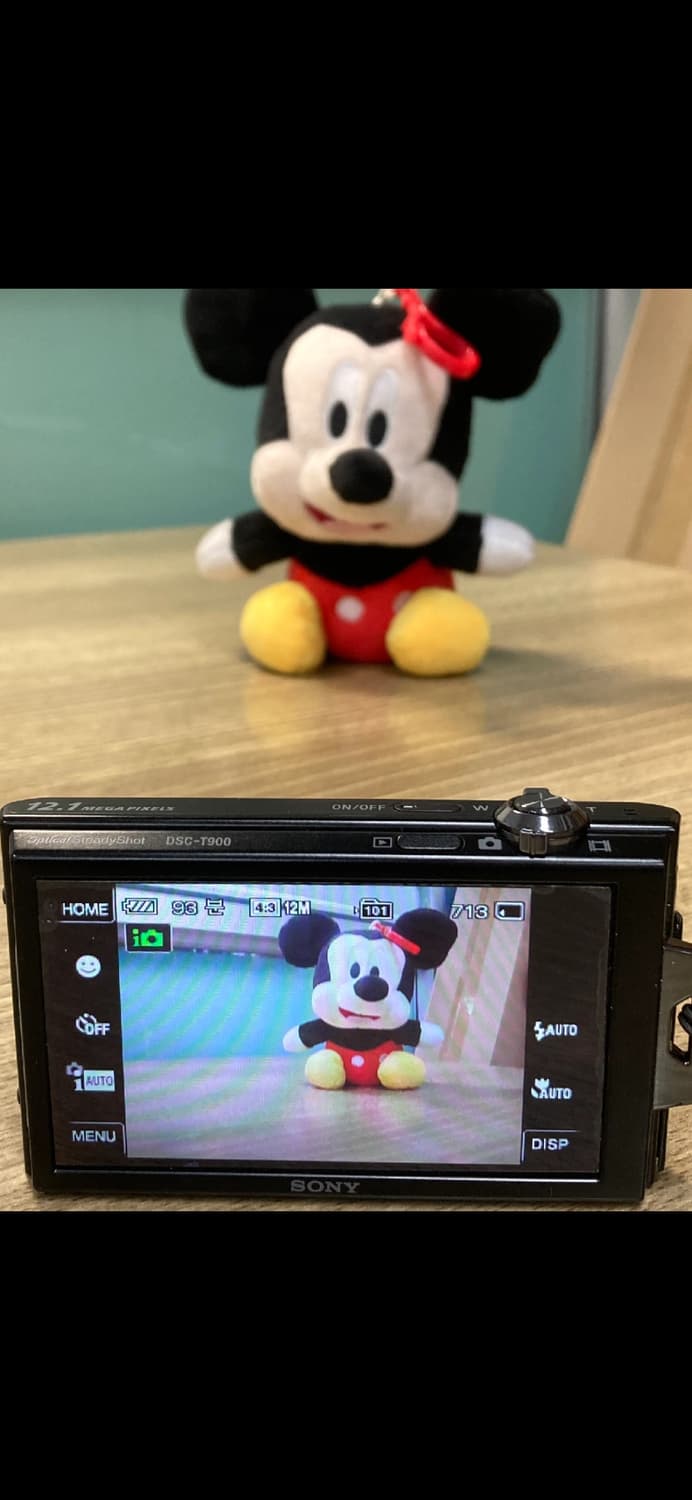 Sony Cyber-shot DSC-T900 상품이미지8