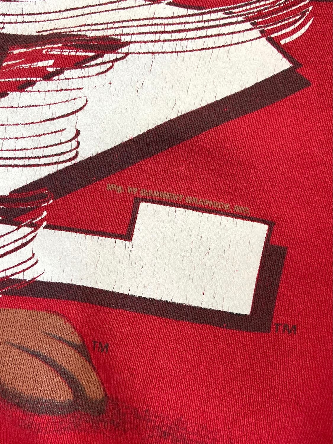 90's 워너브로스 테즈 스웻셔츠 상품이미지5