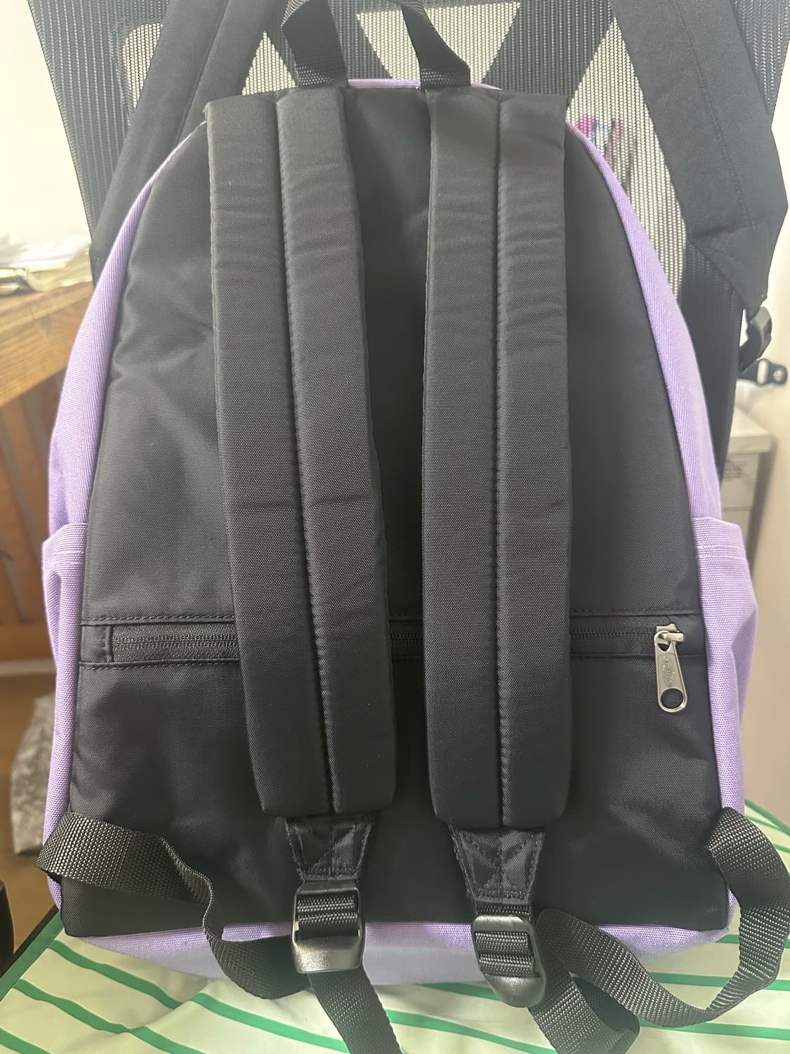 이스트팩 백팩 상품이미지3