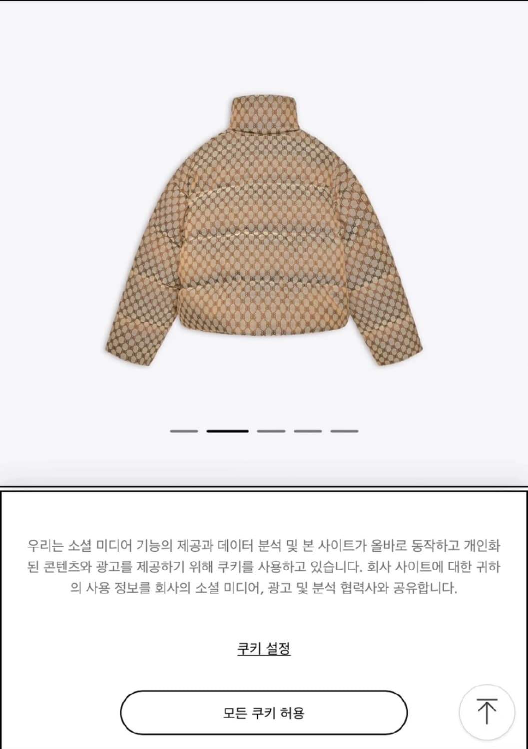 구찌 발렌시아가 해커 남성패딩 상품이미지2