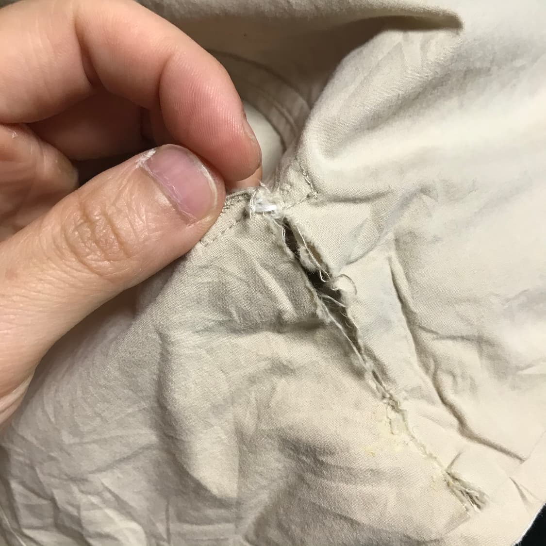 폴로 랄프로렌 면 후디 자켓 (단면 가격 으로 올려요 주름 펴서 출고 됩 상품이미지5