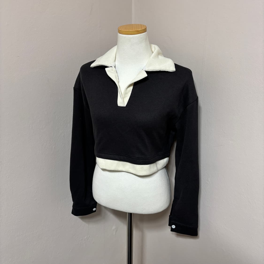 DAZY 데이지 배색 칼라 크롭 골지 티셔츠 상품이미지2