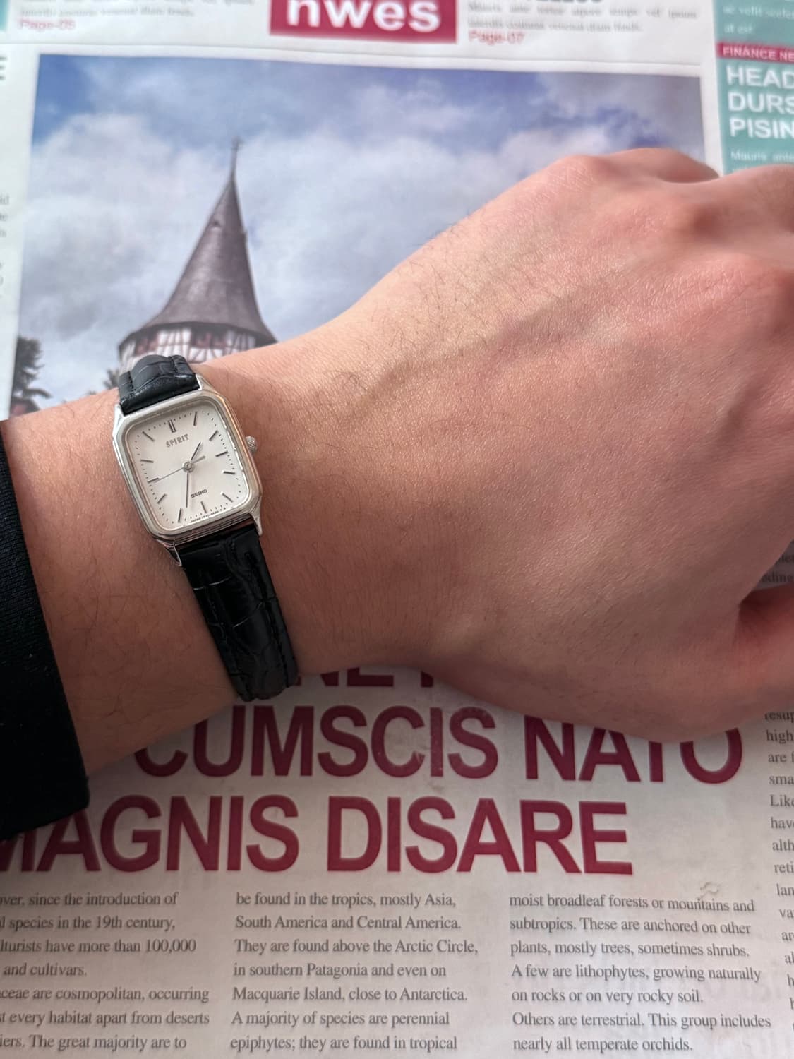 세이코 Seiko 쿼츠 스퀘어 스피릿 레이디스 상품이미지4