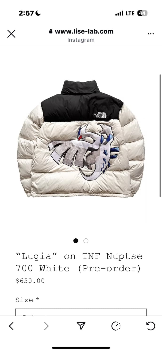 노스페이스 루기아 자수 커스텀 패딩 xl 새상품 상품이미지4