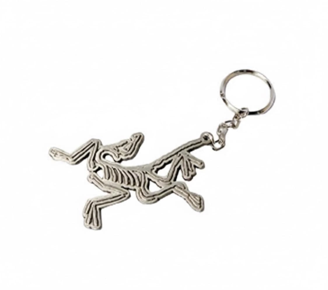 아크테릭스 키링 상품이미지1