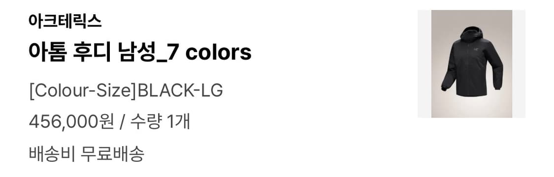 [L] 아크테릭스 아톰 후디 블랙 상품이미지2