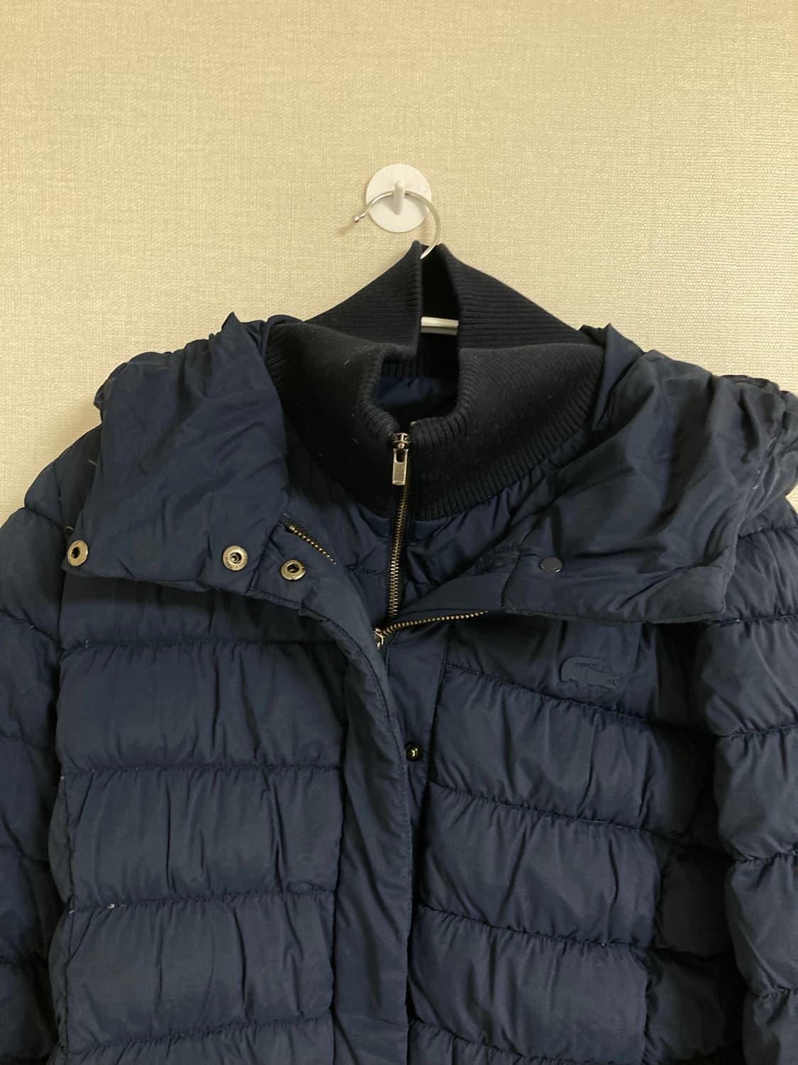 라코스테 구스  38 상품이미지5