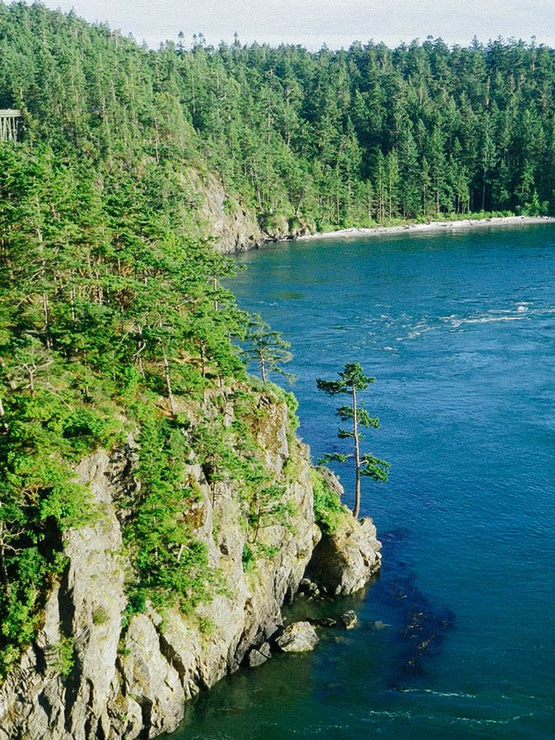 (박스셋) PENTAX Optio S10 (펜탁스 옵티오 S10) 상품이미지9