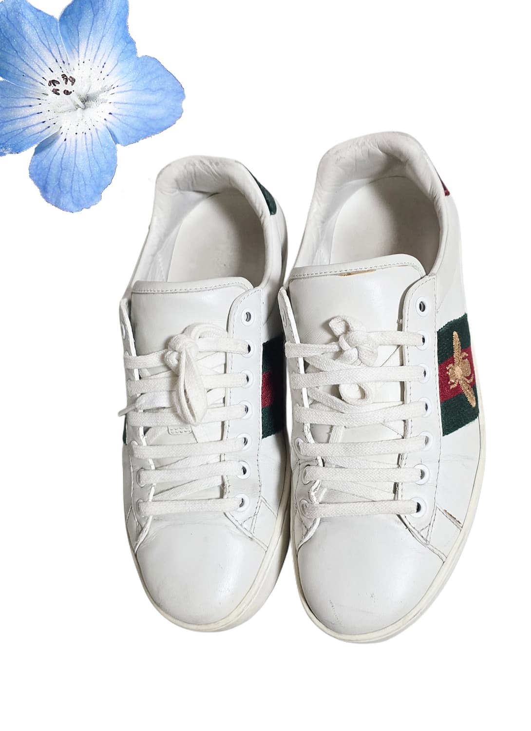 구찌 스니커즈250~255 상품이미지1