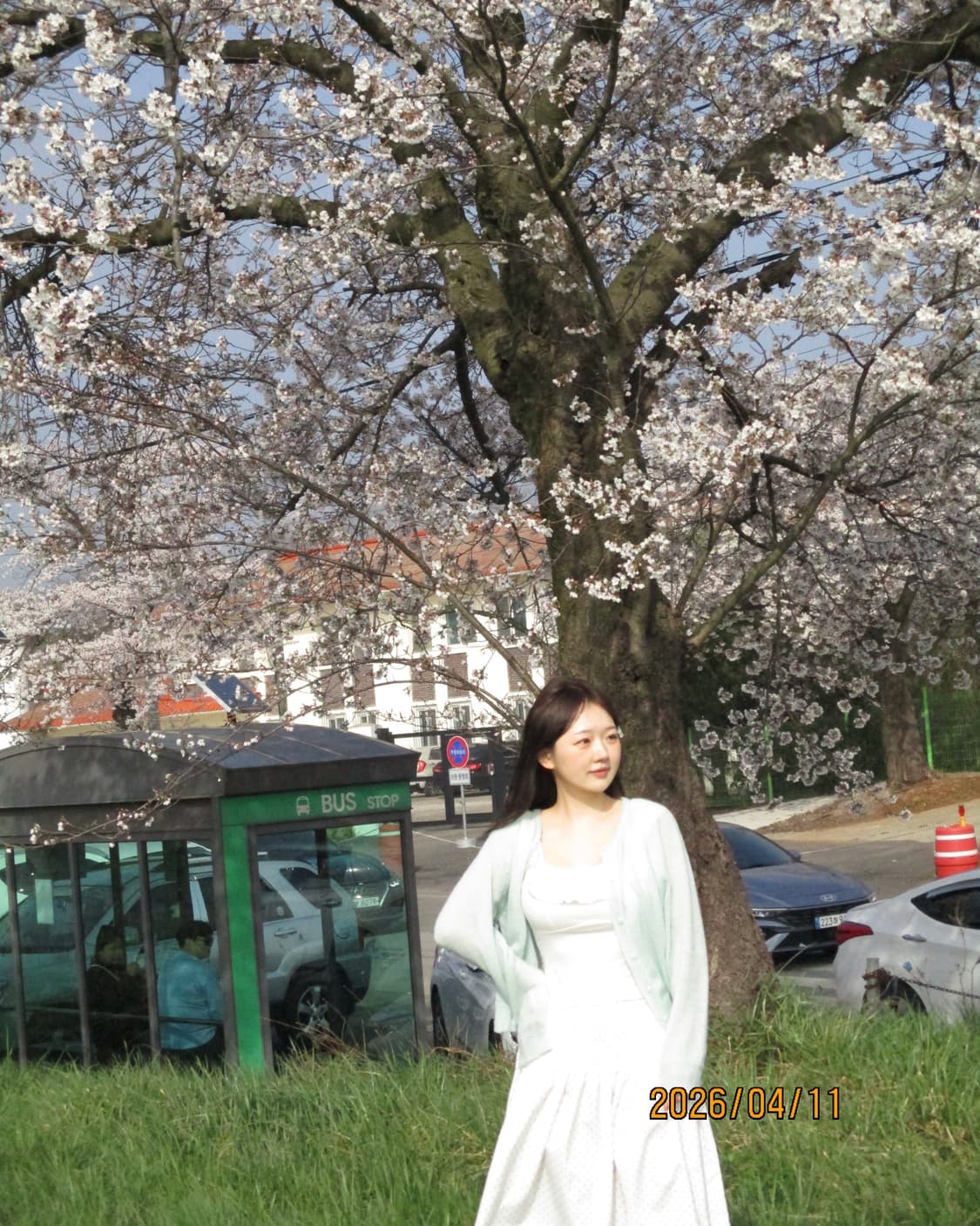 작례O) 민트 캐논 익시 180 익서스 175 ixy180 ixus175 상품이미지2