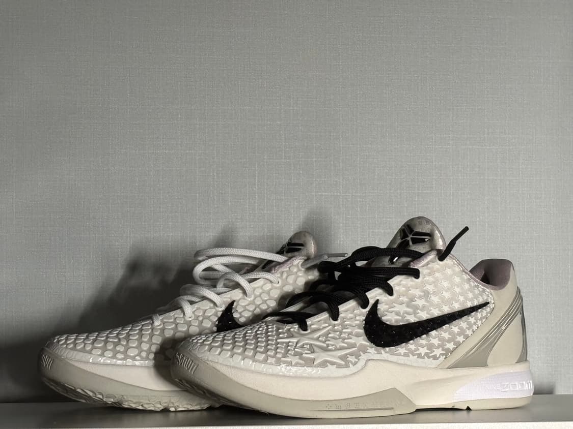 코비6 프로트로 세일 260 상품이미지2