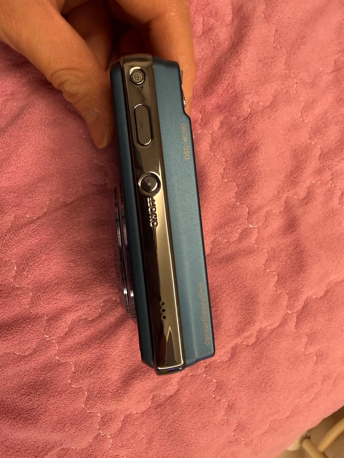 소니 사이버샷 sony cyber shot dsc-w290 작례(0) 상품이미지5