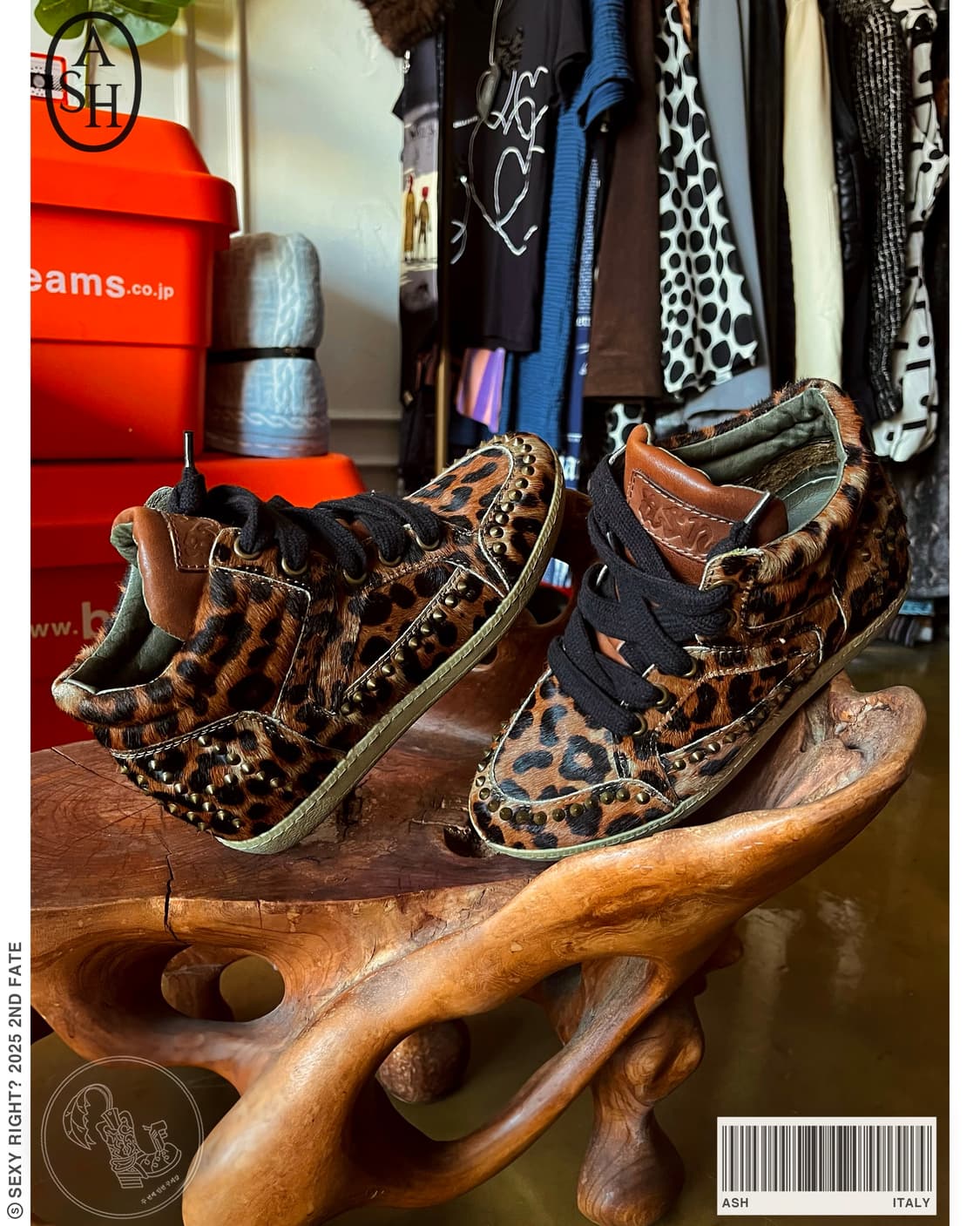 ASH Leopard Calf-Hair Studs Sneakers 상품이미지1