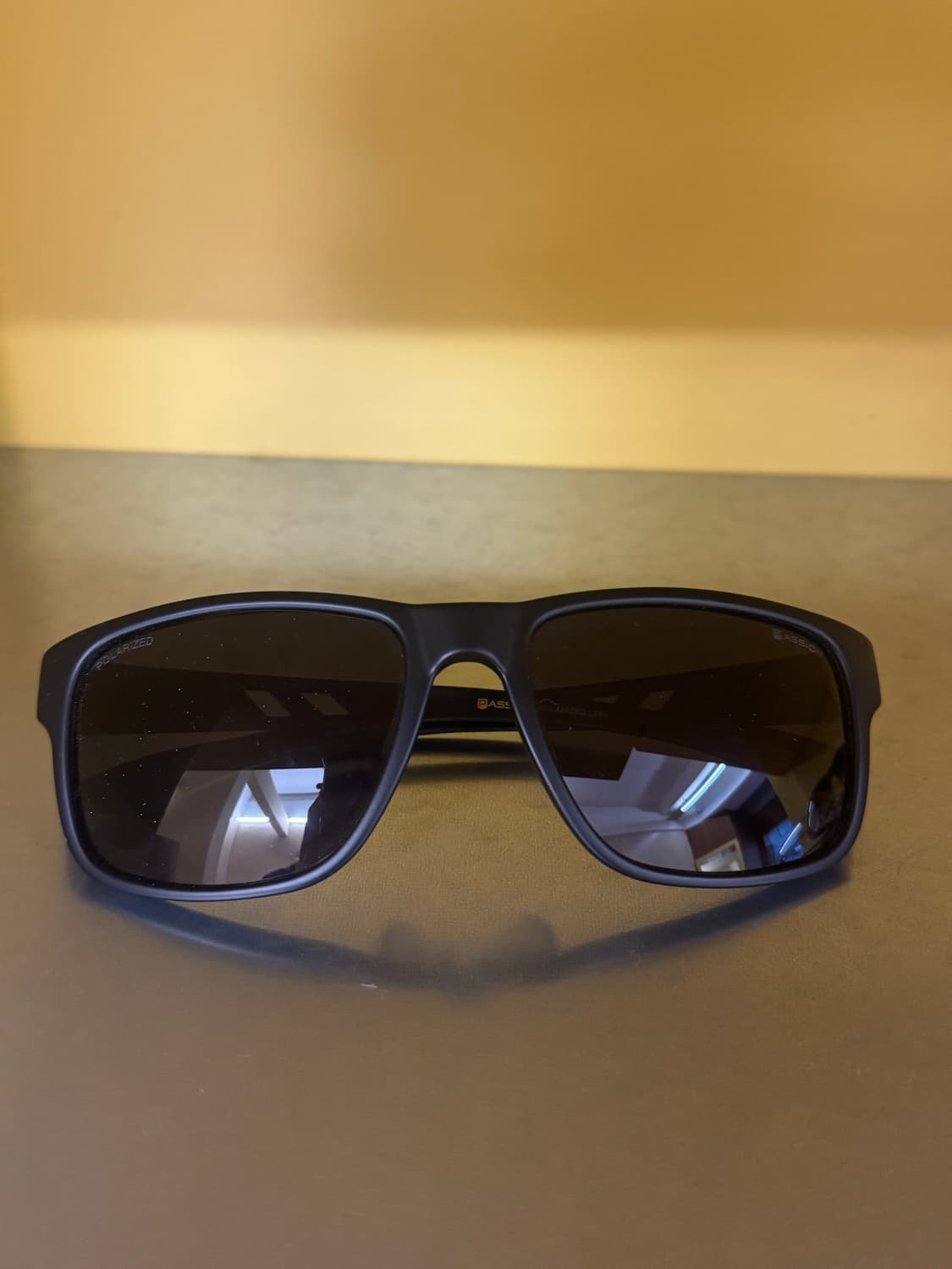 PASSION 선글라스 상품이미지1