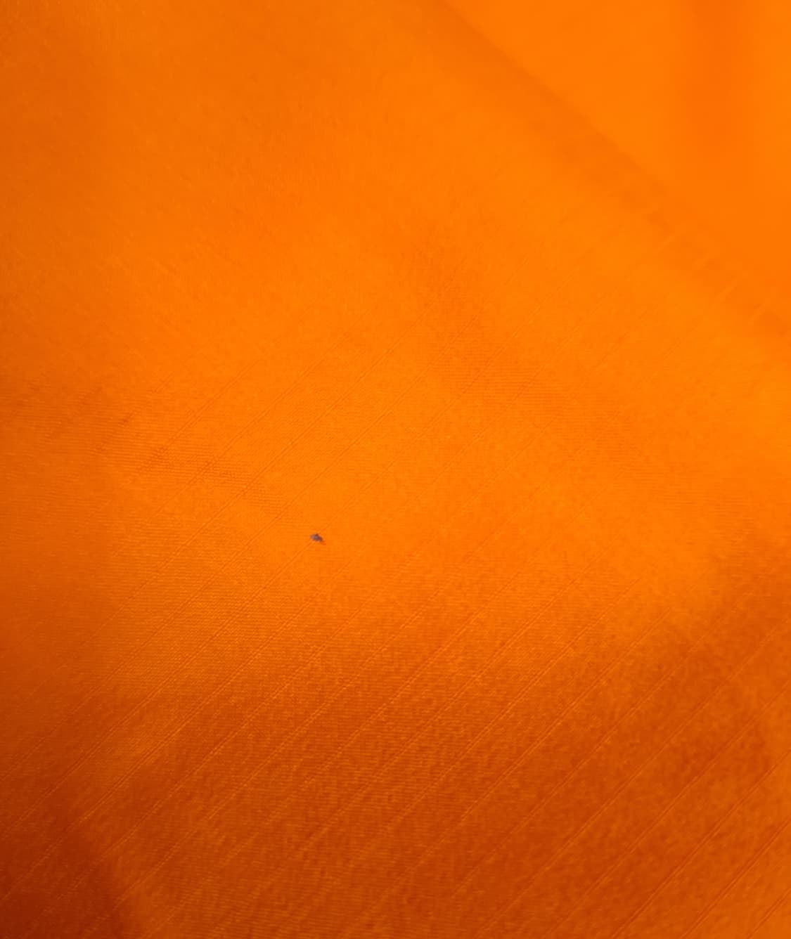 오리지날 아크테릭스 구형 아톰 LT후디 상품이미지10