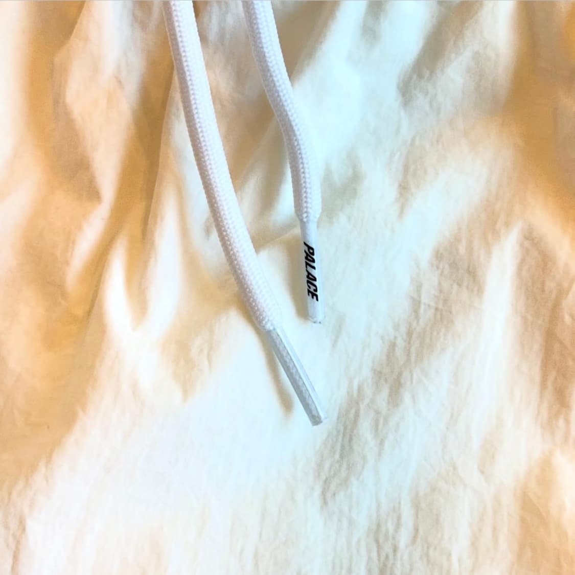Palace pipeline 나일론 쇼츠 상품이미지7