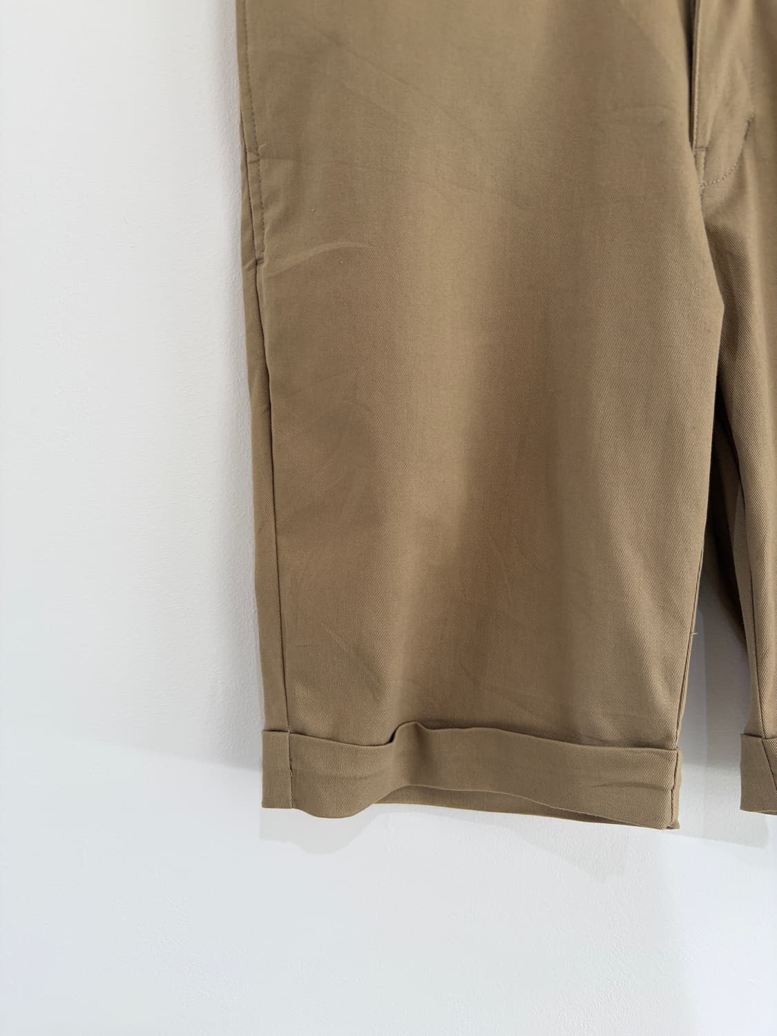 Dickies shorts 상품이미지3