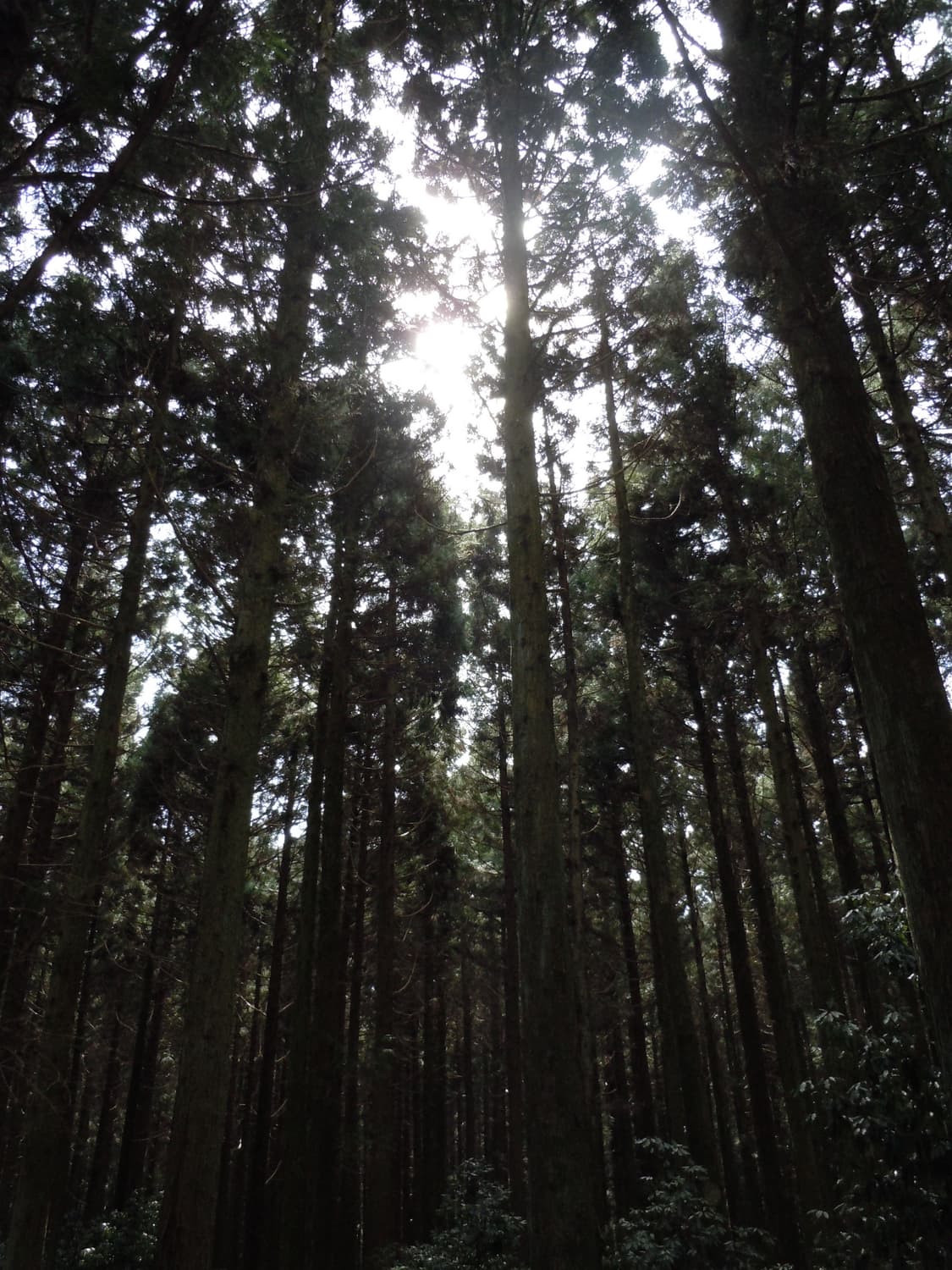 Nikon 니콘 쿨픽스s6000 블랙 상품이미지10