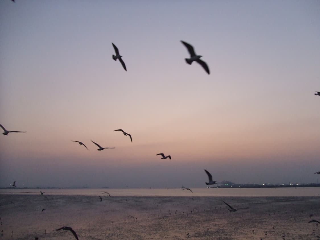 FUJIFILM 파인픽스 Z5 상품이미지8